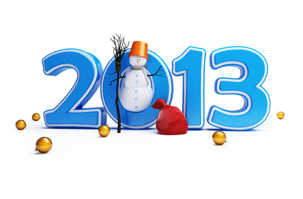 2013 год