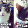 Усложнение AFM на ВИ - последнее сообщение от PalePalp